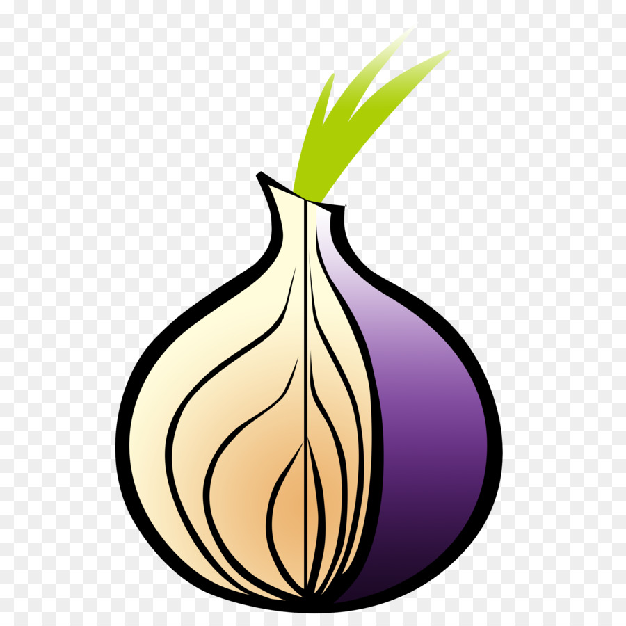 Tor Browser Web Browser Onion Onion Routing Onion Png 0 | Hot Sex Picture