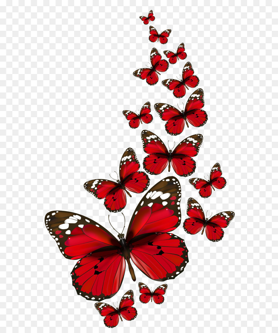 Butterfly Clip art - Red Butterflies Vector PNG Clipart ...
