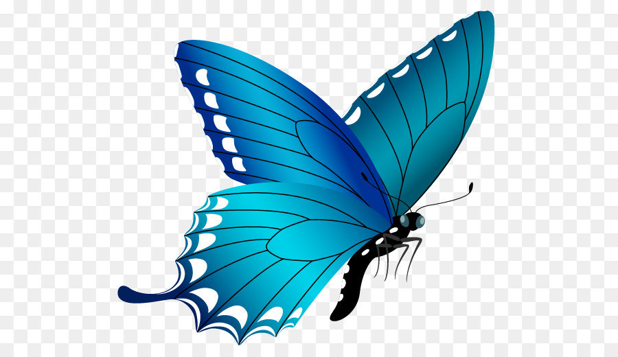 Download Butterfly Clip art - Blue Butterfly PNG Image png download ...