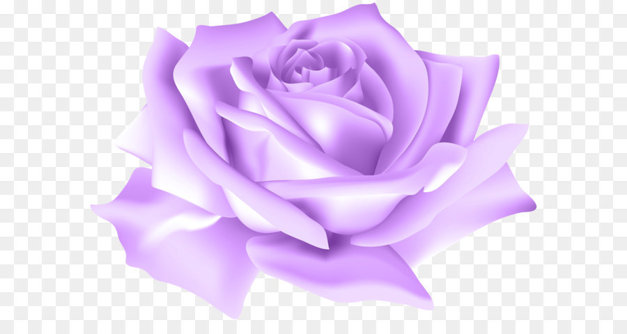 Garden roses Flower Centifolia roses Clip art - Purple Rose Flower PNG