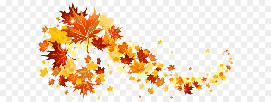 Autumn leaf color Clip art - Fall Leaves Transparent Picture png ...