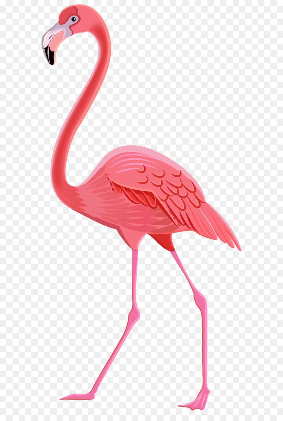 Flamingo Vector Clip Art