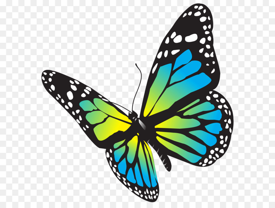 Large Butterfly PNG Clip Art Image png download - 7178*7422 - Free