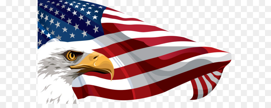 Flag of the United States Clip art - American Flag and Eagle