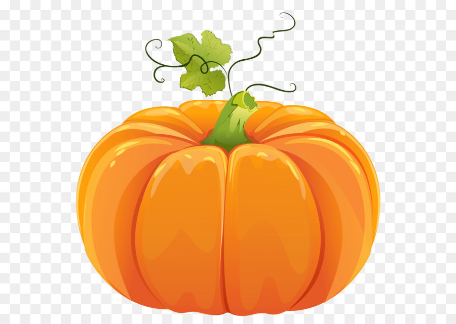 View Transparent Background Pumpkin Outline Png Background