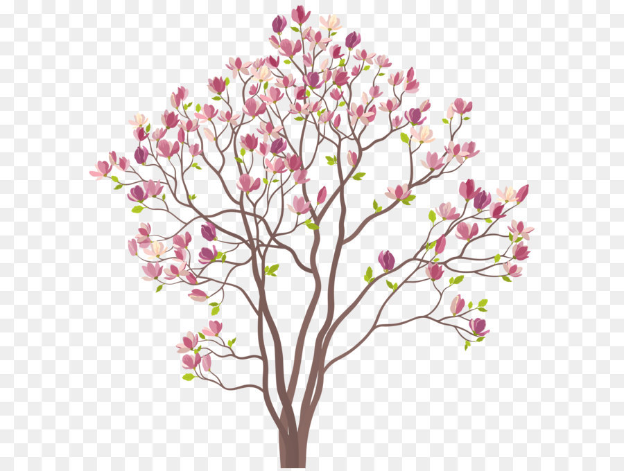 Southern magnolia Tree Royalty-free Clip art - Mmagnolia Tree PNG Clip