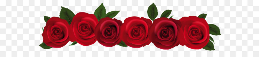 Rose Red Clip art - Red Roses PNG Clipart 2219*649 transprent Png Free