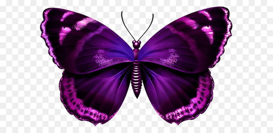 Purple Butterfly Transparent PNG Image png download - 930*614 - Free