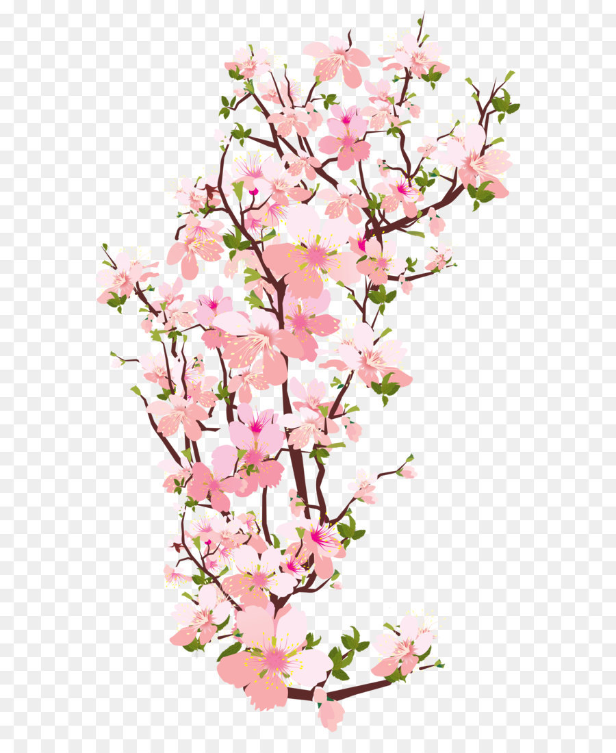 Branch Tree Clip art - Spring Tree Branch Transparent PNG Clip Art