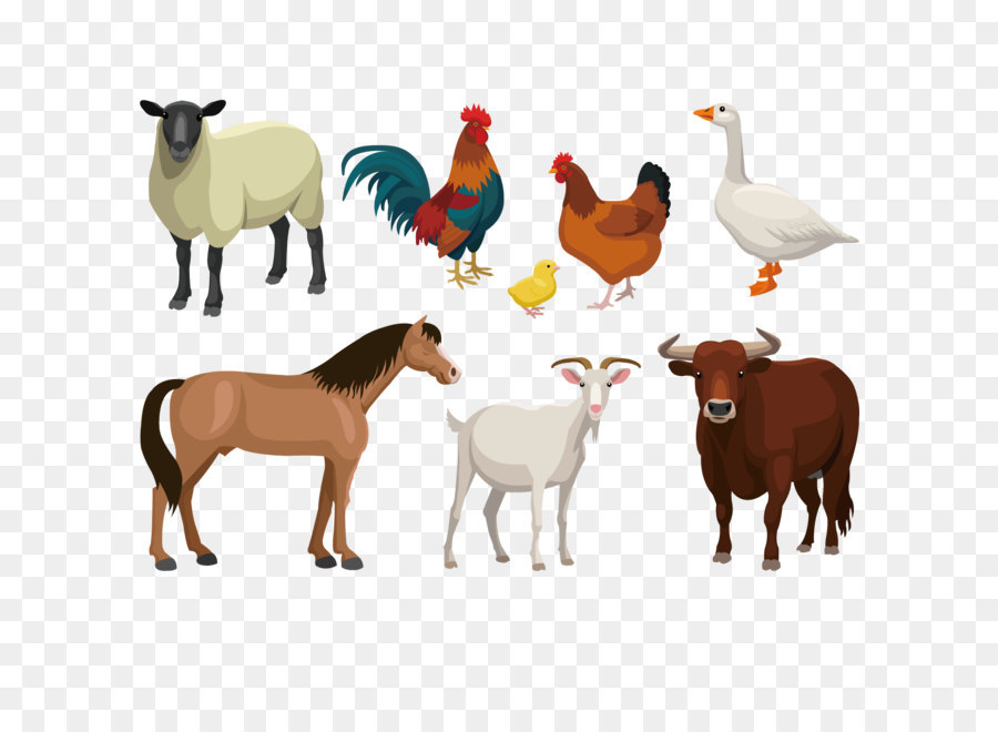 Cattle Goat Sheep Livestock - Farm animal vector illustration png