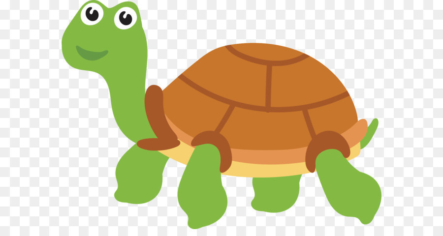 vector circle drawn hand Sea png turtle turtle  vector  painted Hand Tortoise sea