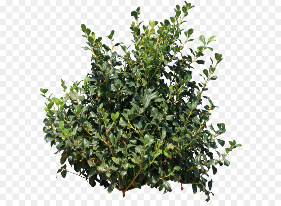 Fortnite bush transparent background