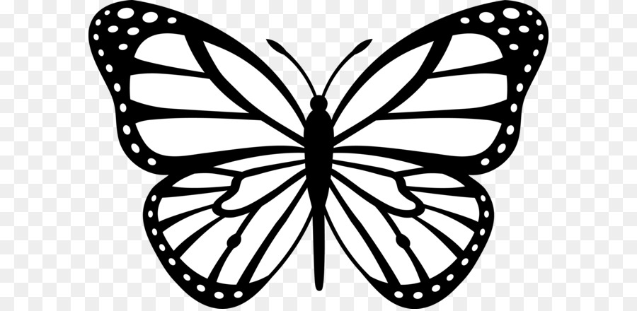 Schmetterling Schwarz und weiß Zeichnung Clip art Schmetterling clip
