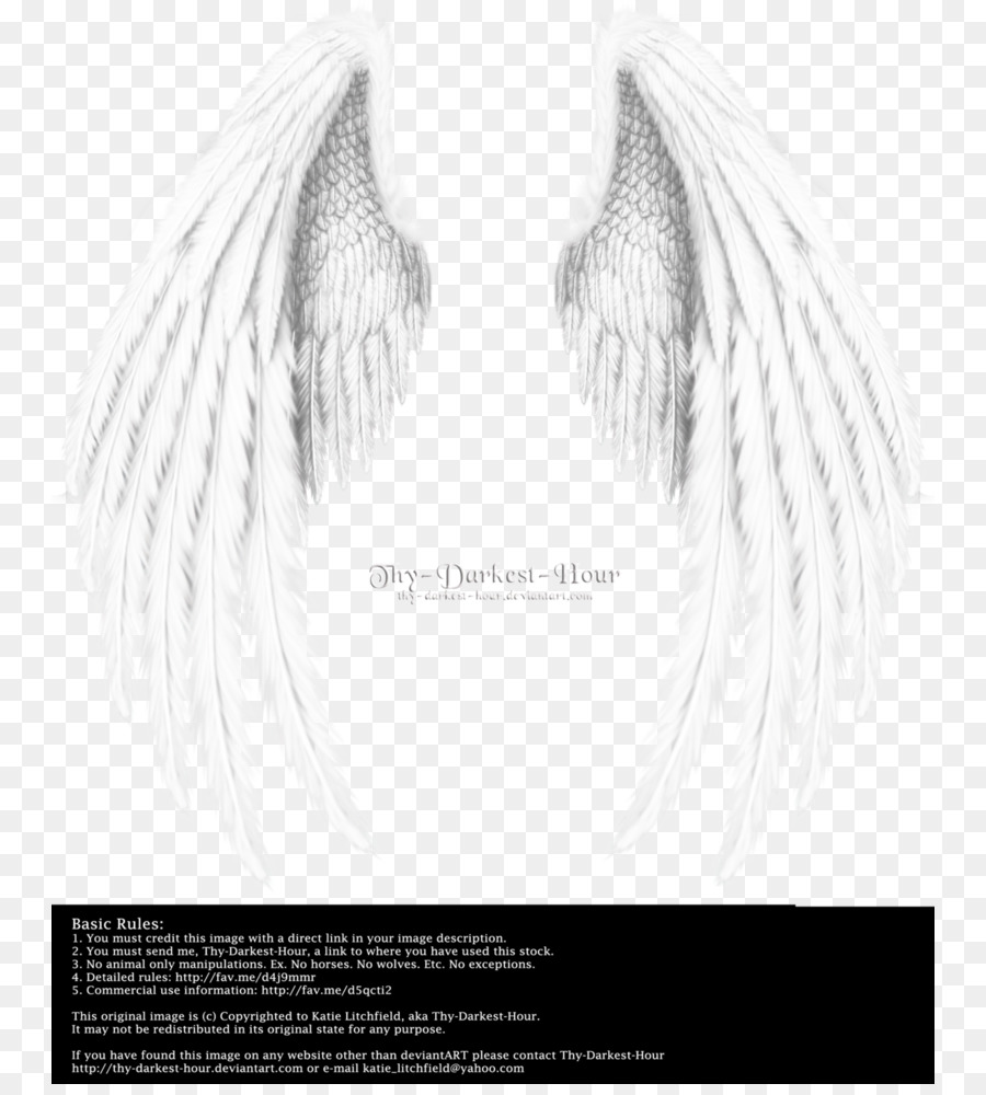 Angel wing Angel wing - wing,Angel wings,Real 806*990 transprent Png ...