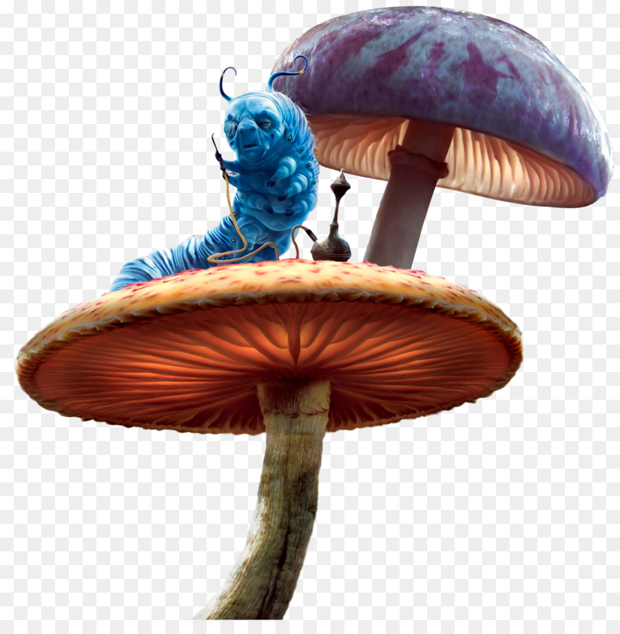 Alice's Adventures in Wonderland - Fairy tale mushroom png download