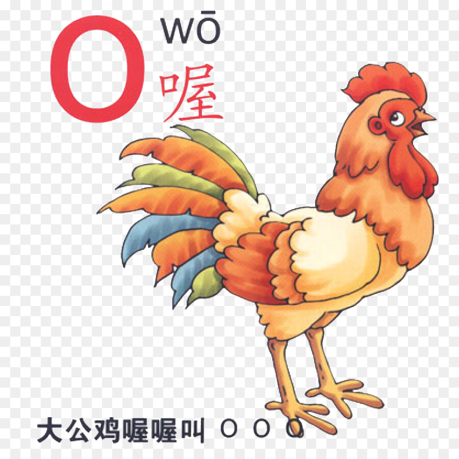 Ayam Pinyin Ilustrasi Kartun Cina Fonetik Alphabet O Unduh