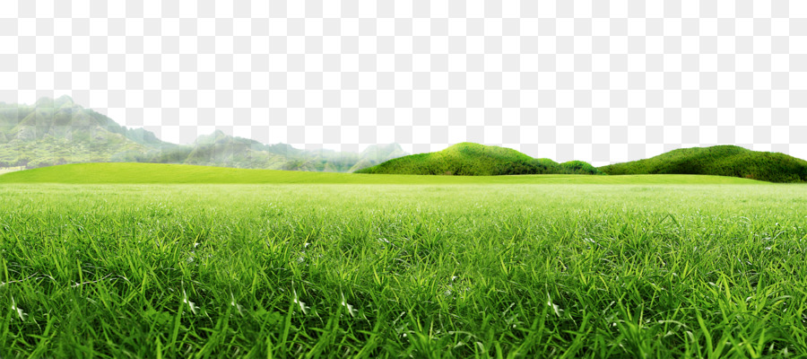 Mountain Idea - Meadow and mountains,png png download - 2500*1110