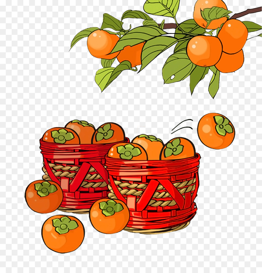 Shuangjiang Mangzhong Clementine Istilah Surya Ilustrasi Kesemek