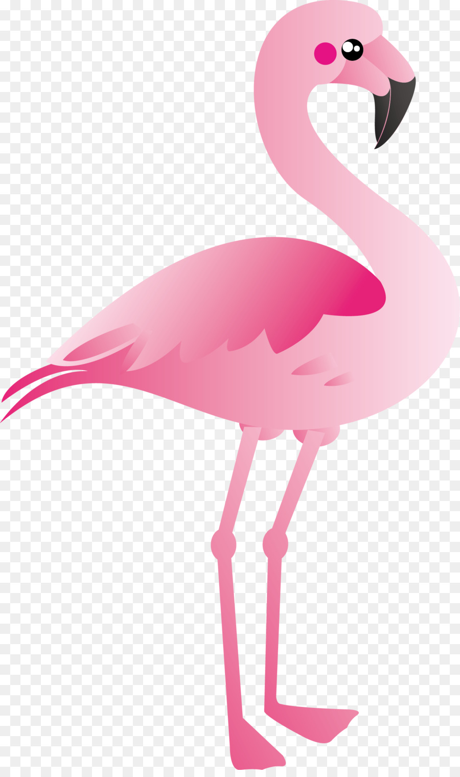 24+ Gambar Wallpaper Flamingo