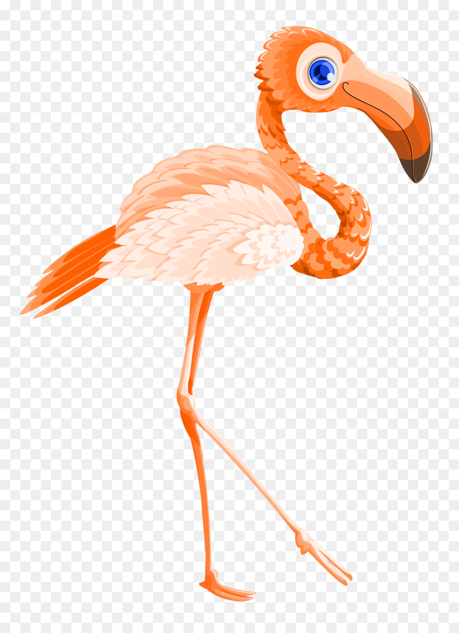 Flamingo Valentines Day Flamingo Burung Vektor Png Unduh 1515
