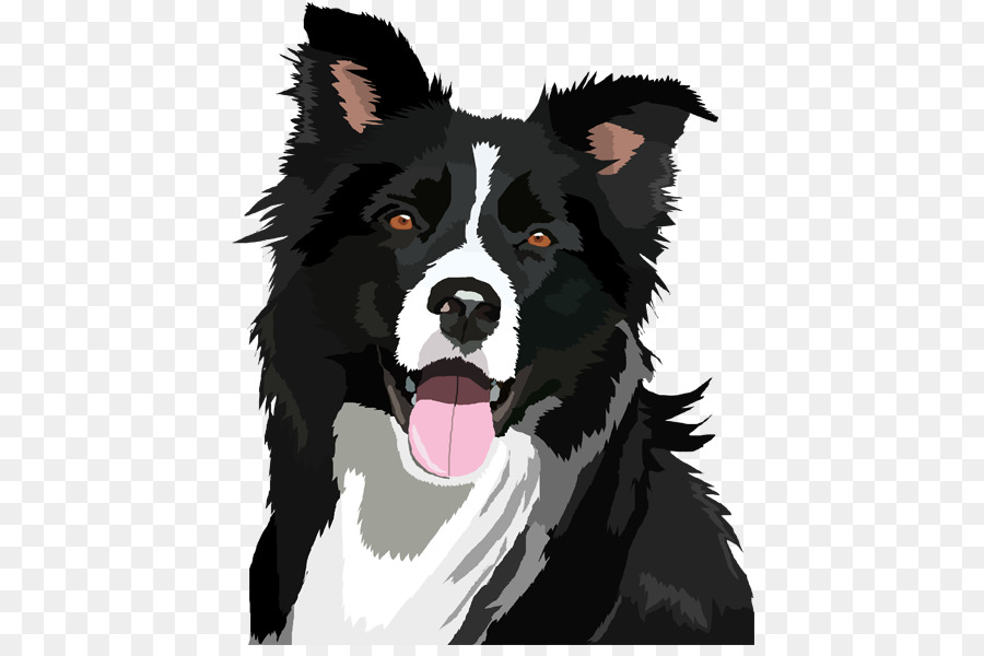 Border Collie Bearded Collie Clip art Border Collie PNG