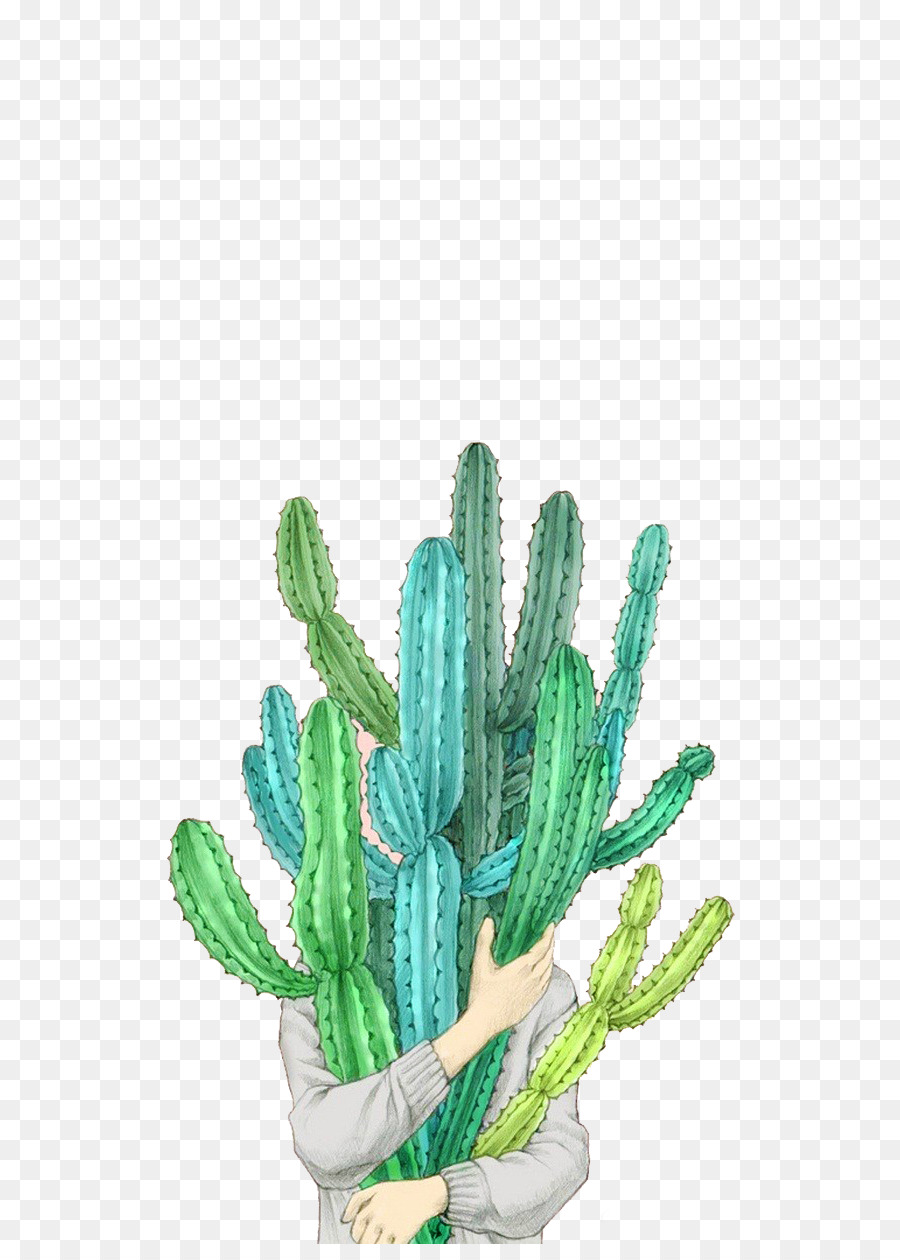 Taobao Tmall Cactaceae Ilustrasi Kaktus Kaktus Unduh Pabrik
