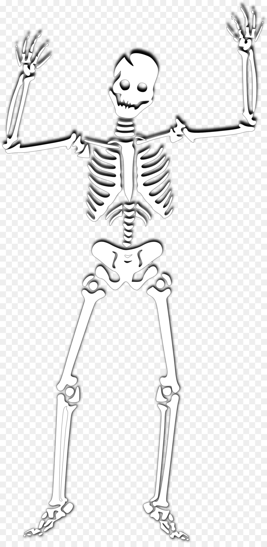 Kerangka Manusia Tengkorak Clip Art Halloween Skeleton PNG Foto