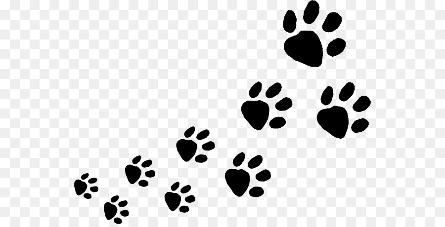 Dog Cat Animal track Paw Clip art - Animal Footprints ...