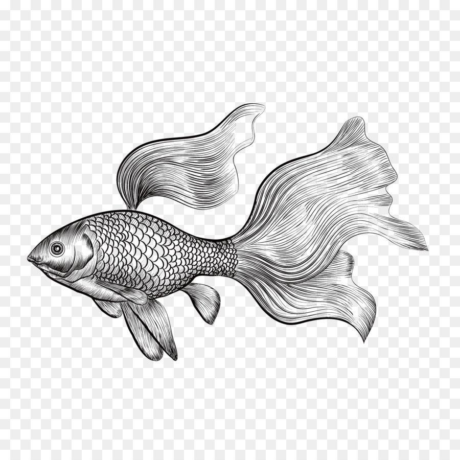 Download Goldfish Drawing Euclidean vector - Vector painted betta png download - 1200*1200 - Free ...