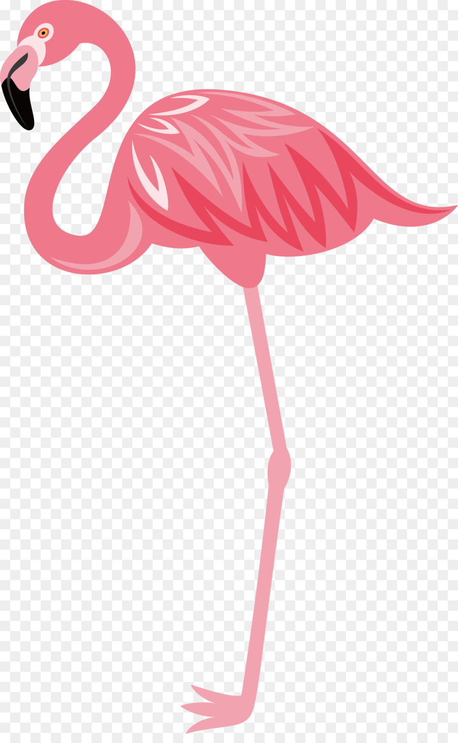 Flamingos Bird Euclidean vector - Hand-painted flamingos png download