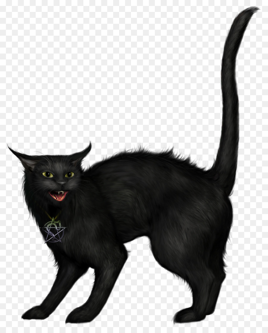 kisspng-black-cat-halloween-clip-art-wit