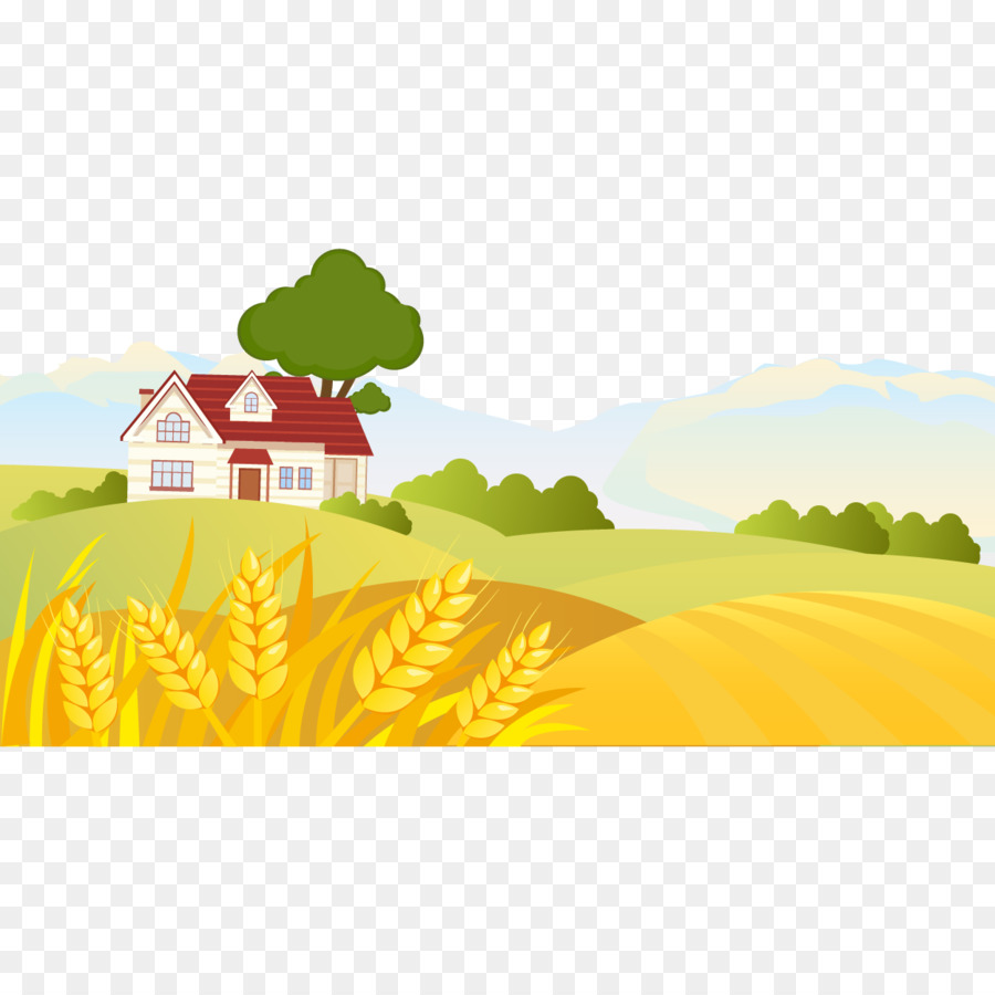 Kartun Pemandangan Menggambar Ilustrasi Vektor Golden Wheat Field