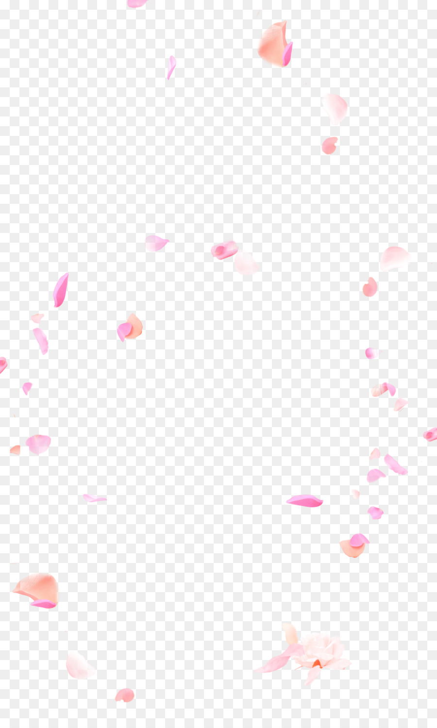 Petal Pink Flower Falling Flowers Png Download 1772