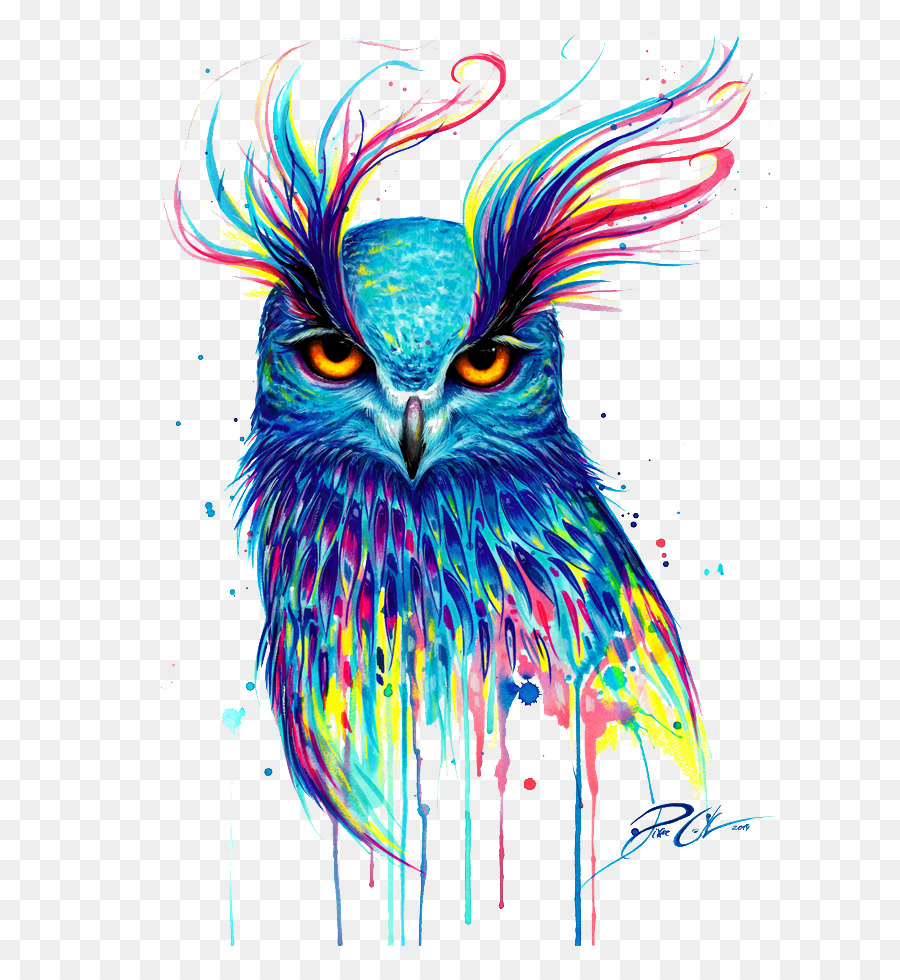 Gambar Keren Owl