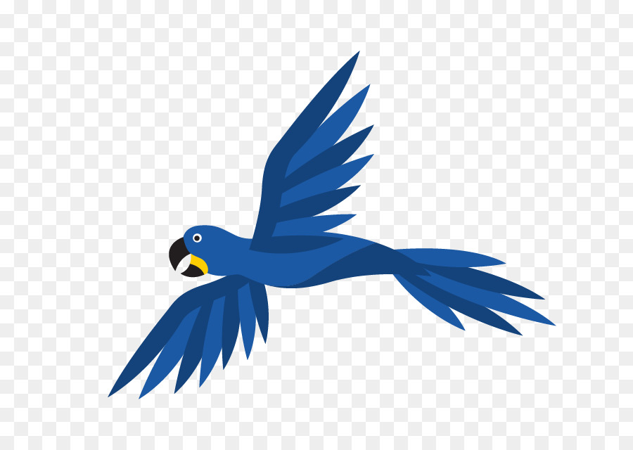  Gambar Burung Rio 