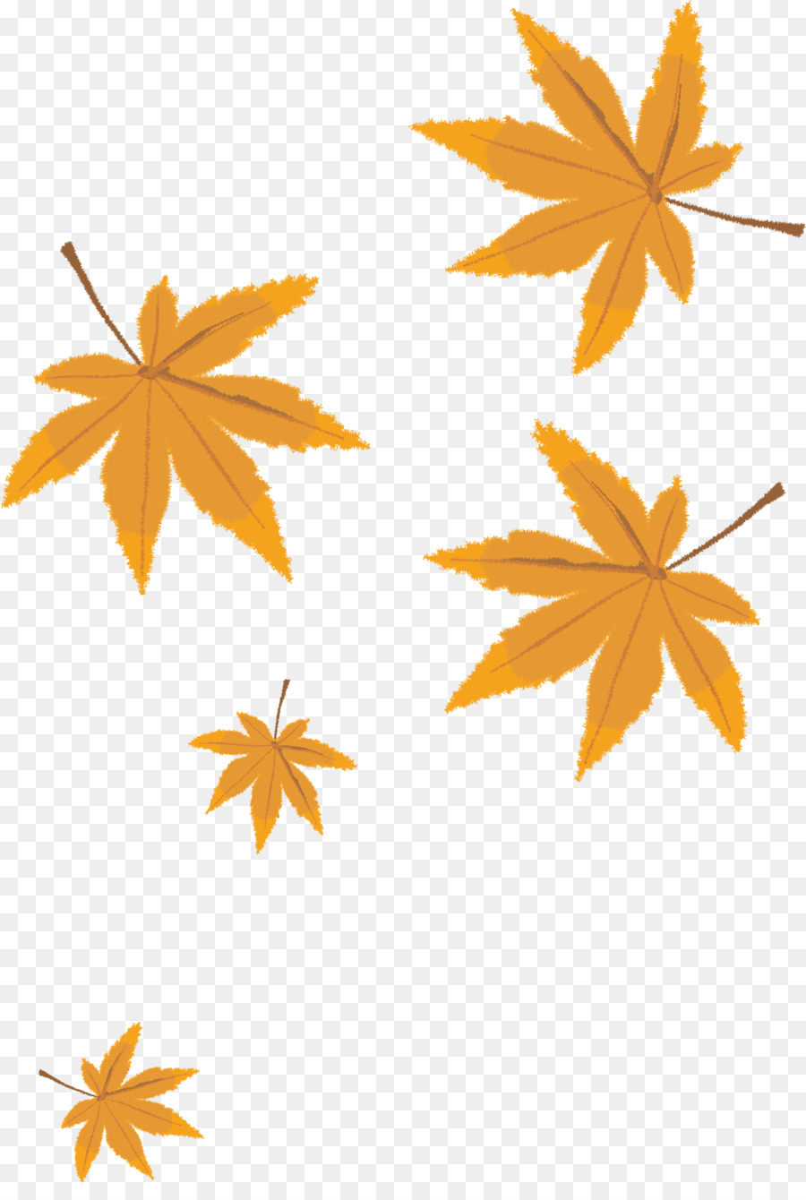 Leaf Cartoon - Autumn leaves png vector material png download - 1637*