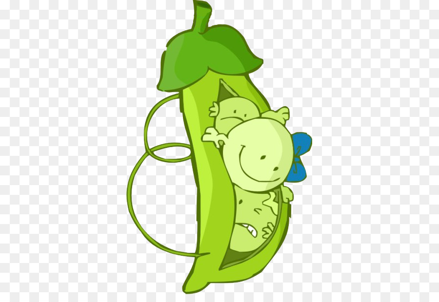 Soybean Pea - Cute cartoon baby peas png download - 604*604 - Free