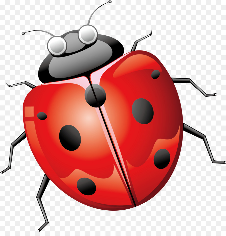 Ladybird Beetle Euclidean vector - Seven star ladybug png vector