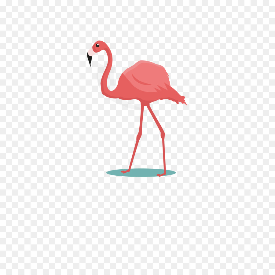  Gambar  Burung  Flamingo  Kartun  Kartun  Kocak
