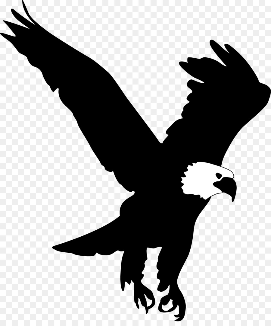 Bald Eagle Clip Art Sayap Elang Unduh Elang Siluet Monokrom