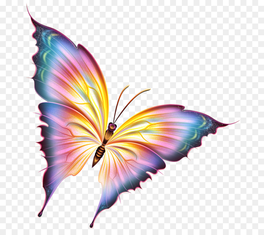 Butterfly Clip art - Yellow-blue painted ghost butterfly png download