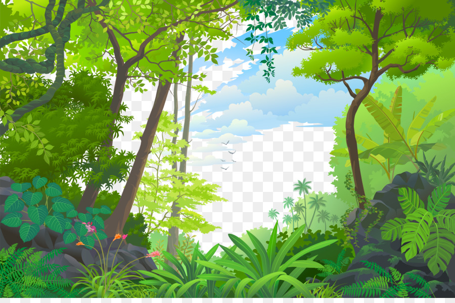 Landscape Jungle  Euclidean vector Tropical rainforest 