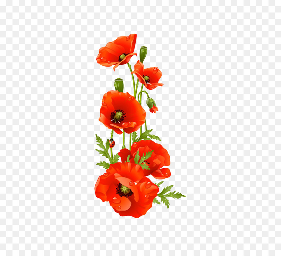 kisspng remembrance poppy flower clip art a bouquet of flowers 5a83fe6ab92080