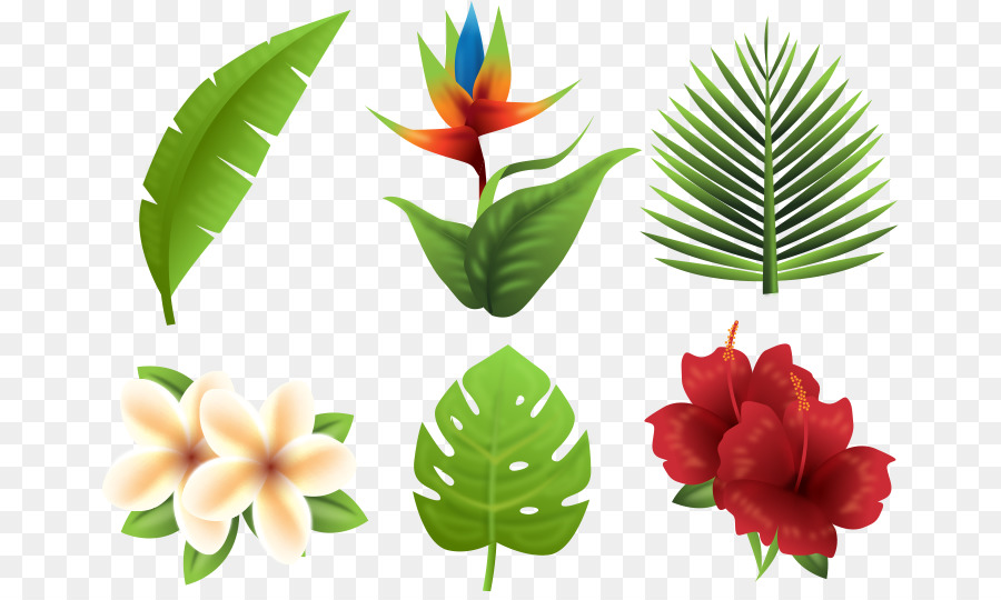 Free Free 110 Tropical Flower Leaves Svg SVG PNG EPS DXF File