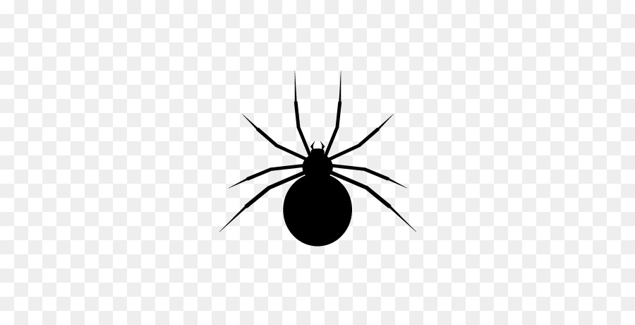 Download Insect Black and white Pattern - Spider Web Icon png ...