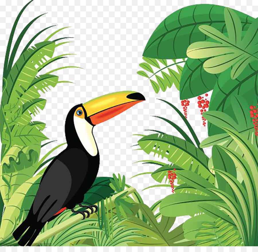 Amazon Rainforest Hornbill png download - 927*886 - Free Transparent