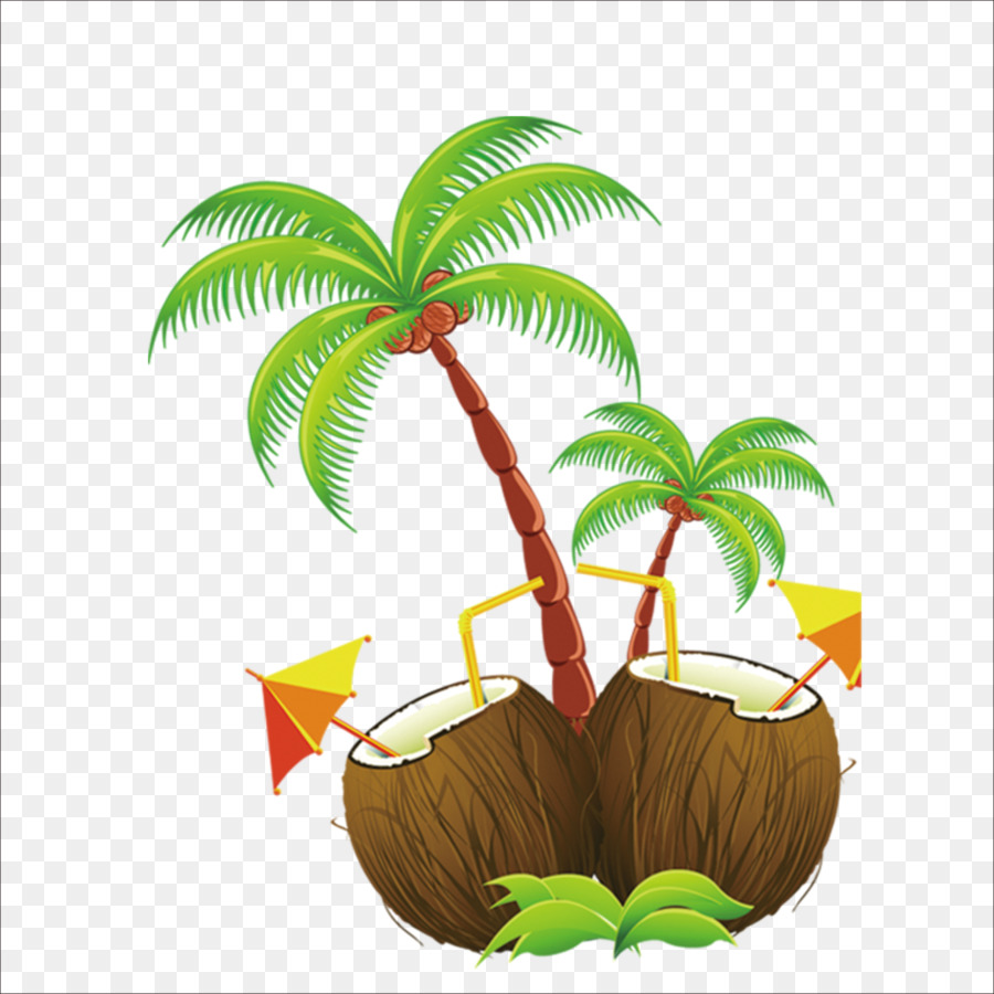Hawaii Island Clip art - coconut png download - 1773*1773 - Free