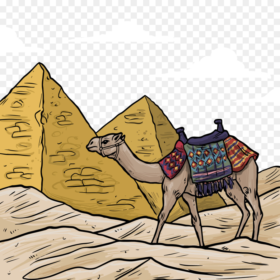 Piramida Mesir Baktria Unta Mesir Kuno Menggambar Ilustrasi