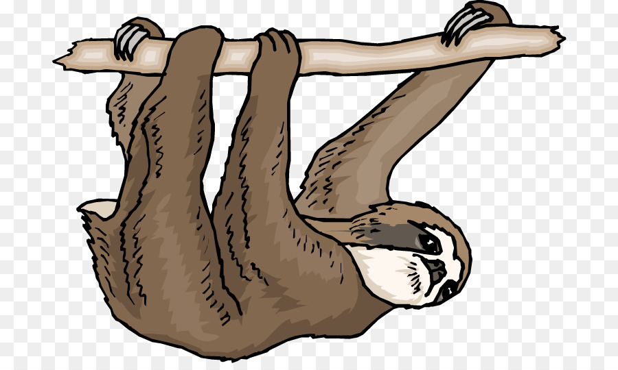 pygmy threetoed sloth free content clip art  sloth