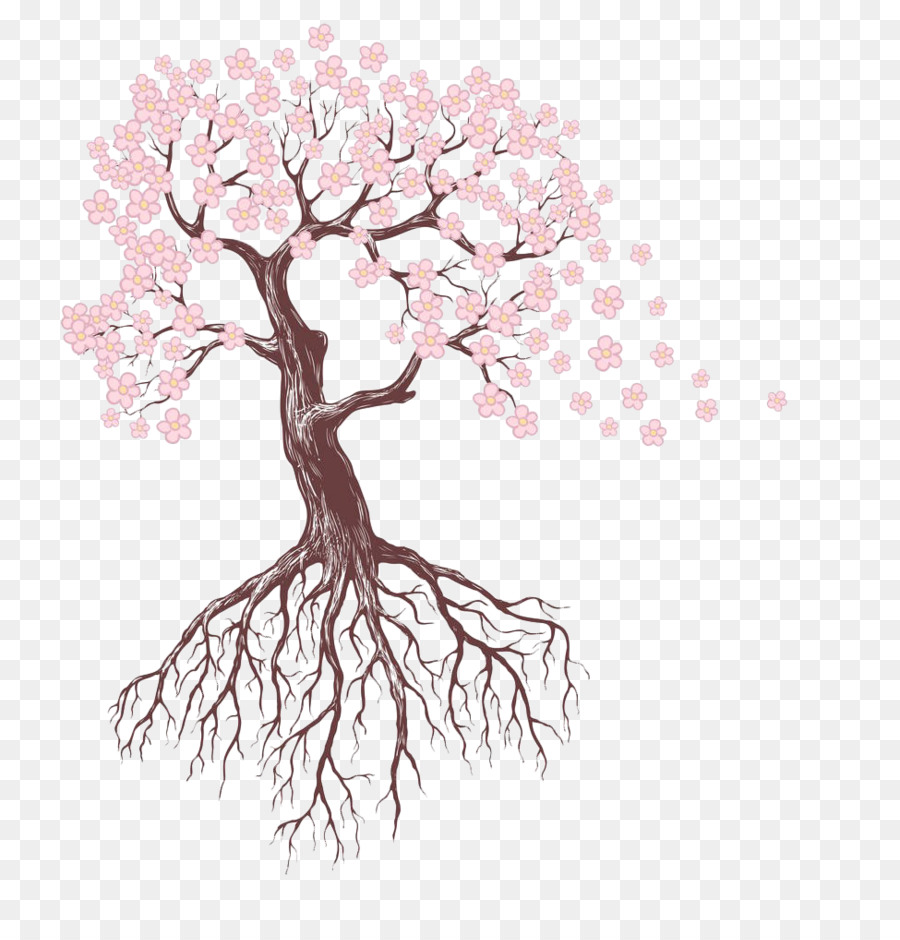 Gambar Akar Pohon Sketsa Bunga Sakura Merah Muda Unduh Pink